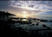 The Central Coast has everything to offer the wilderness traveler including ocean kayaking, wildlife viewing, bird watching, diving, cruising and some of the best sport fishing around! 