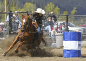 An important aspect of the study has been projecting the economic activity generated by the expanded facilities, in the local and regional economy. At present, the contribution to the local and regional economy for each horse can be estimated at about $3,000 to $5,000 per year, as owners pay for boarding, feed, veterinary care, tack, clothing, farrier services, and fees for lessons, shows and educational clinics. 