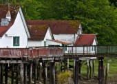 The Historical Society began improvements to the Cannery which included updates to the board walk, redesigning of the entrance, restoration of six buildings in the south-west of the compound, and a comprehensive upgrade to the can making building, establishing a new events space for the communities of Port Edward and Prince Rupert. The Historical Society began improvements to the Cannery which included updates to the board walk, redesigning of the entrance, restoration of six buildings in the south-west of the compound, and a comprehensive upgrade to the can making building, establishing a new events space for the communities of Port Edward and Prince Rupert.