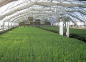 Regional District Determines That Greenhouse Development Heated From Landfill Gas Is Feasible Regional District Determines That Greenhouse Development Heated From Landfill Gas Is Feasible