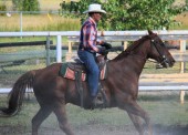 The funding for this project has made it possible to use the barn for heavy horses and other stock, upgrade the exhibit hall, improve the washroom facility by making it handicap accessible, and construct a new first aid/office building.  (photo by Linda Peebles, courtesy of the Village of Burns Lake)