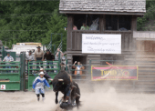 A bullrider getting tossed at the Bella Colla Rodea