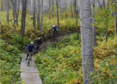 A group of riders descned one of the downhill trails and attempt one of the many boardwalks along the trail.