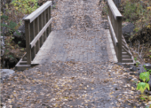 Walking bridge along the Burns Lake Trail System.