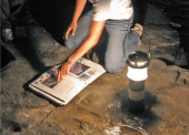 Jennifer Becker Guides A Tour Group On A Nocturnal Lantern Tour Of The Dinosaur Trackway At The Wolverine Site In Tumbler Ridge Jennifer Becker Guides A Tour Group On A Nocturnal Lantern Tour Of The Dinosaur Trackway At The Wolverine Site In Tumbler Ridge