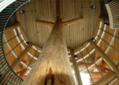 A massive tree reaches up from the floor at the centre of the Tourism Discovery Centre.