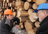 Bruce Sutherland (right) explaining the effects of the mountain pine beetle on harvested logs to Matt Reid (left). Bruce Sutherland from Wolftek Industries was instrumental in directing research efforts at UNBC to target the new THz technology to areas of impact to the central interior and northern BC. Bruce Sutherland (right) explaining the effects of the mountain pine beetle on harvested logs to Matt Reid (left). Bruce Sutherland from Wolftek Industries was instrumental in directing research efforts at UNBC to target the new THz technology to areas of impact to the central interior and northern BC.
